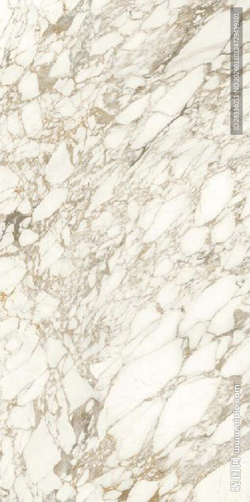 白色鱼肚金大理石石纹