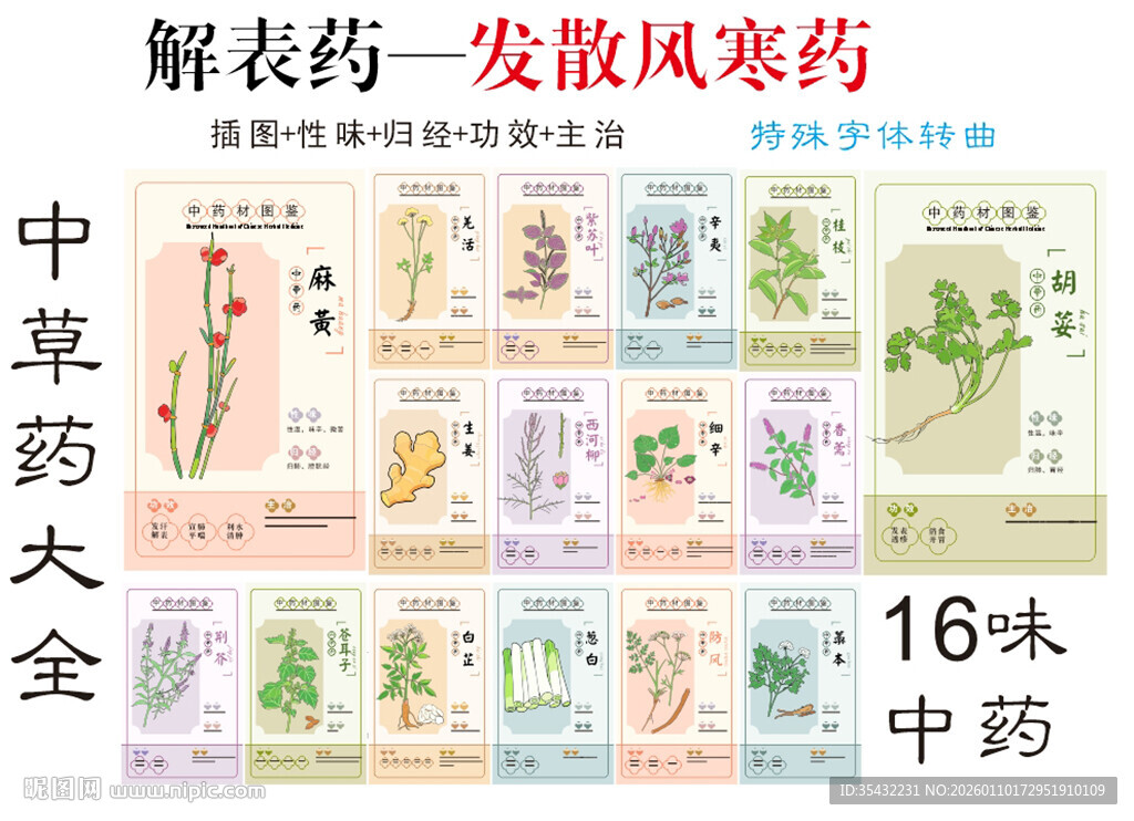 中药大全之解表发散风寒药