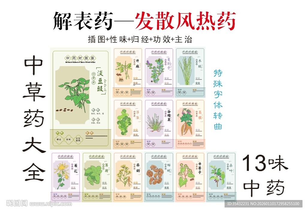 中药大全之解表发散风热药