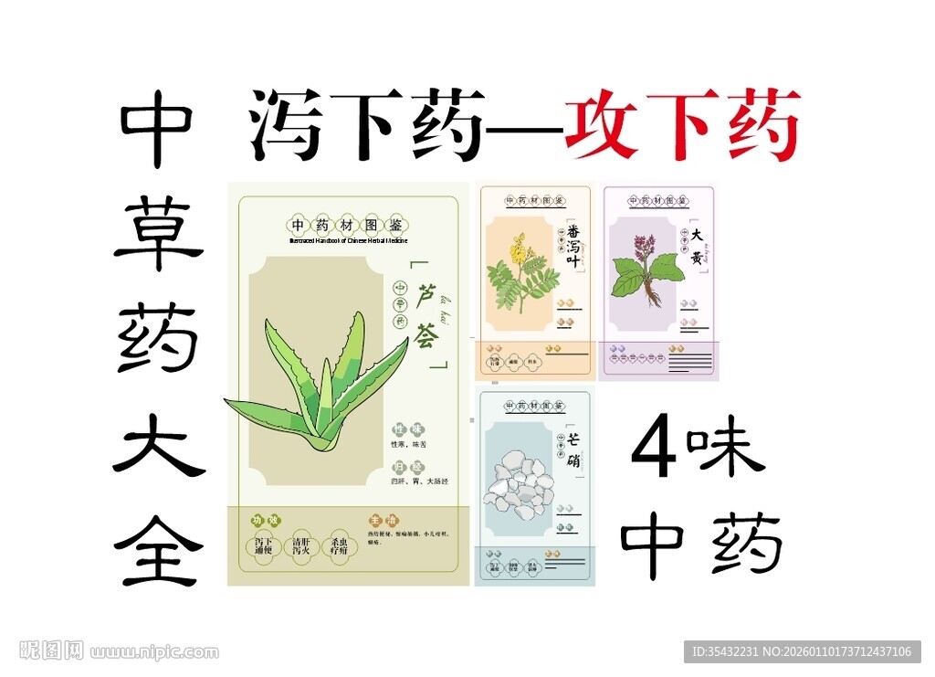 中药大全之泻下药攻下药