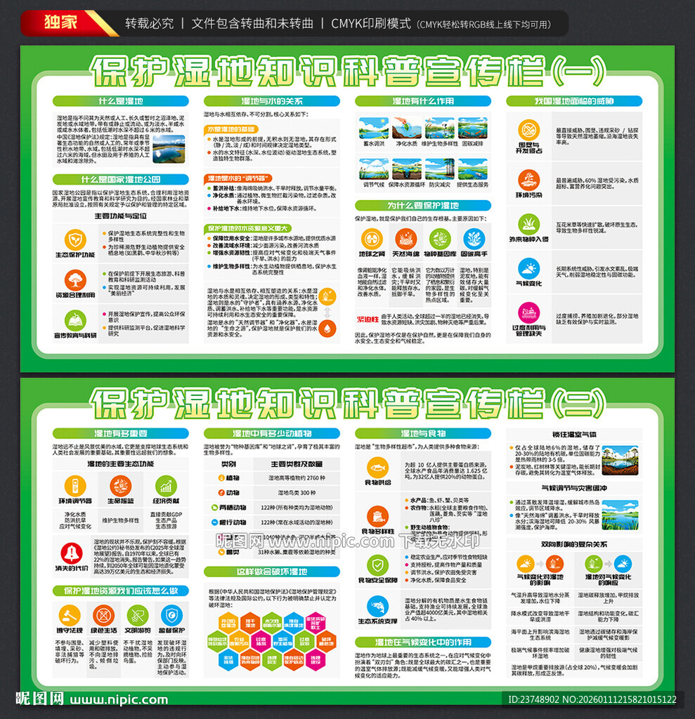 保护湿地知识科普