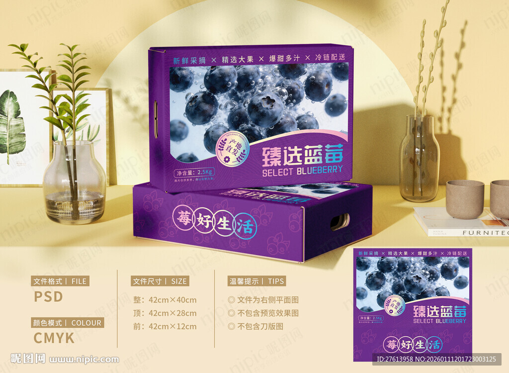 蓝莓包装礼盒