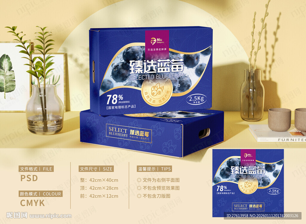 蓝莓礼盒包装