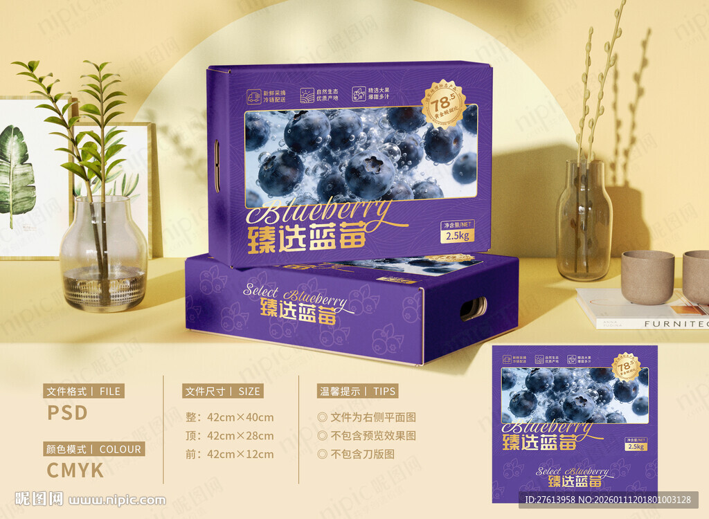 蓝莓包装