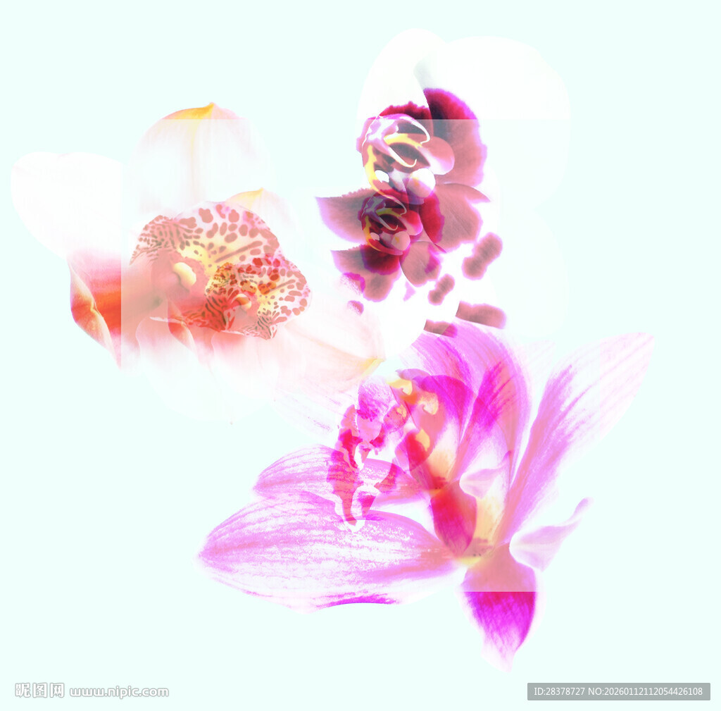 梦幻粉色花卉艺术图