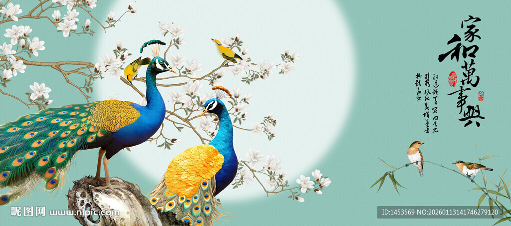 玉兰花孔雀花鸟画