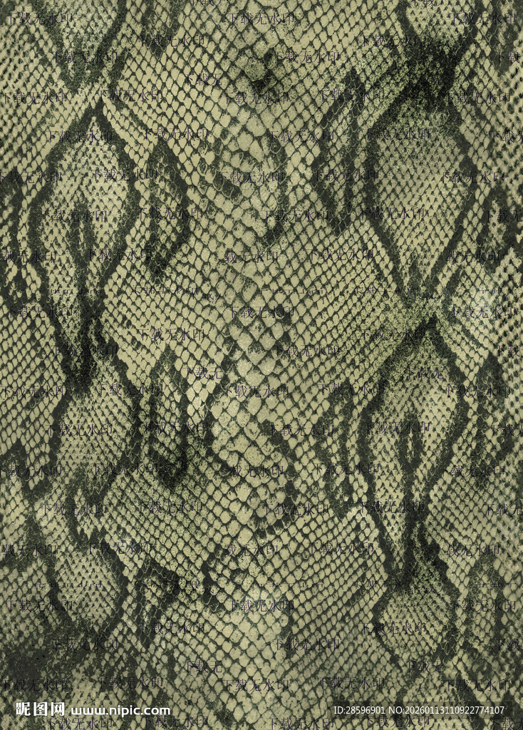 蛇皮纹理图案