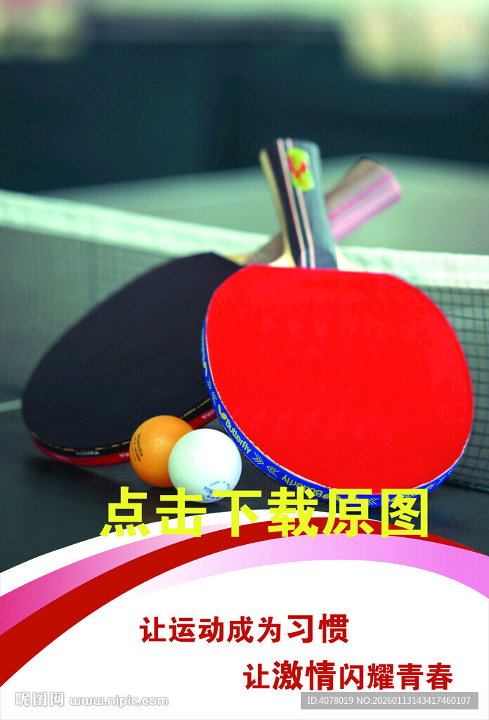 专业乒乓球拍及乒乓球