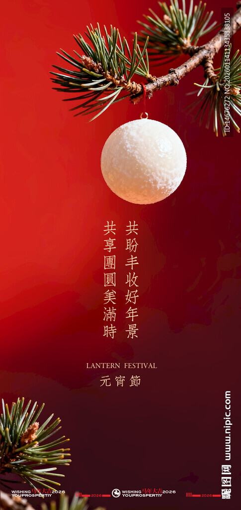 小众大气元宵节海报