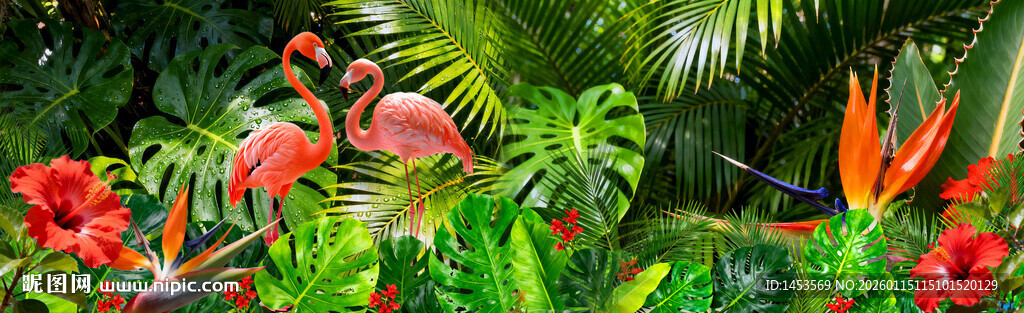 热带植物火烈鸟装饰背景画