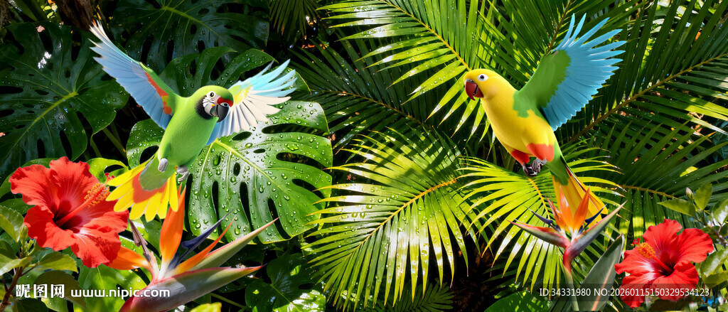 热带鹦鹉