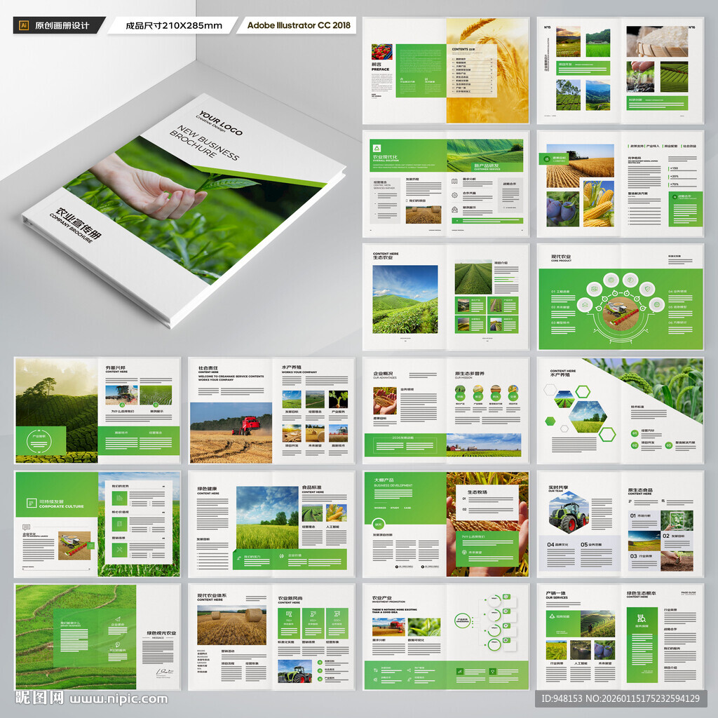 农产品宣传册
