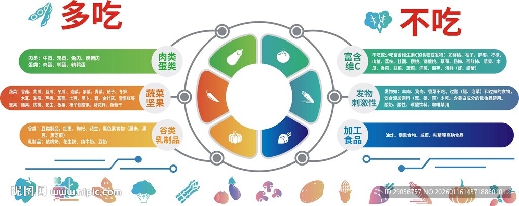 健康饮食指南图示