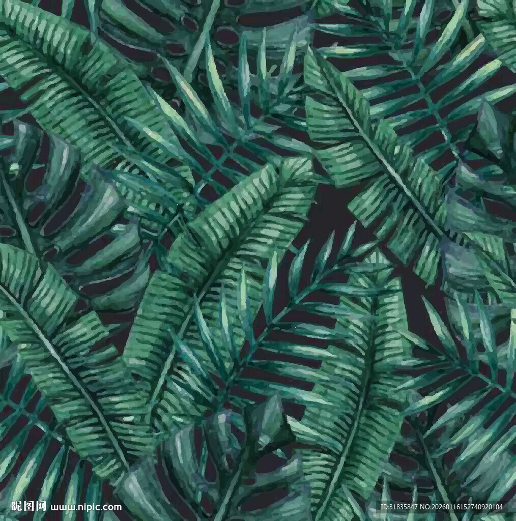 热带蕨类植物叶片纹理