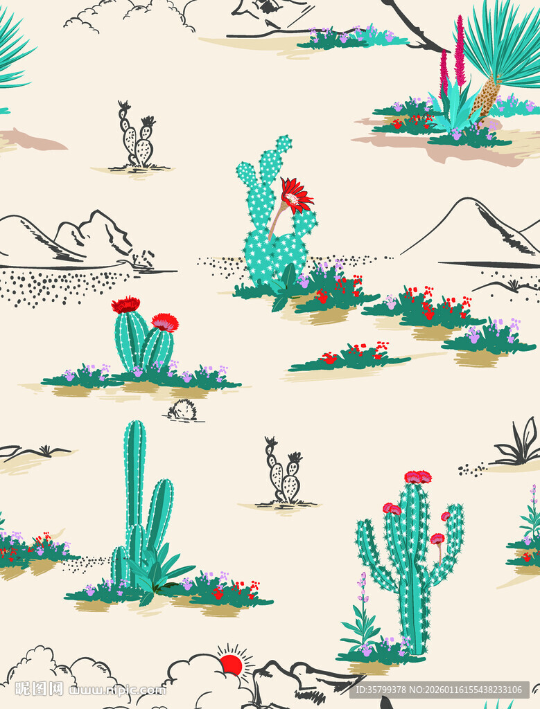 沙漠仙人掌风景插画