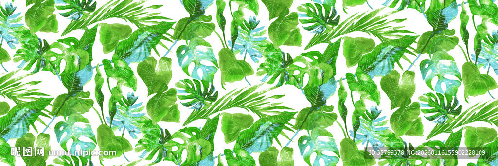 清新绿植图案背景纹理