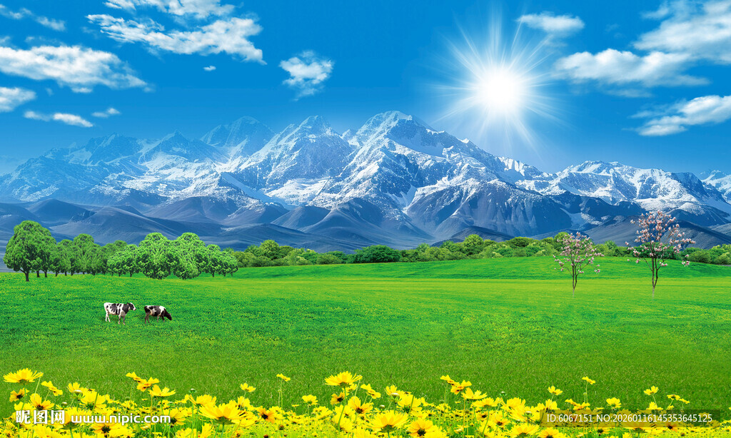 蓝天白云大草原