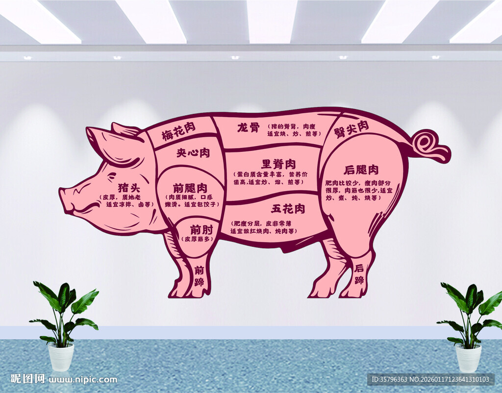 猪肉分割示意图