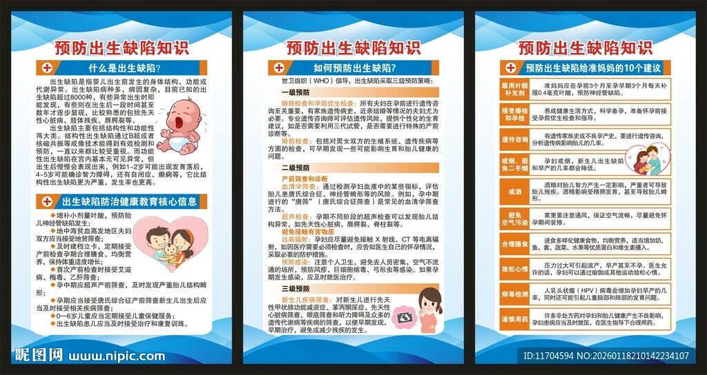 预防出生缺陷知识展板
