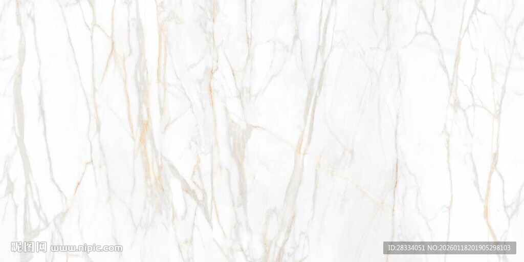 白色鱼肚金大理石石纹