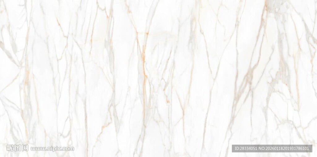 白色鱼肚金大理石石纹