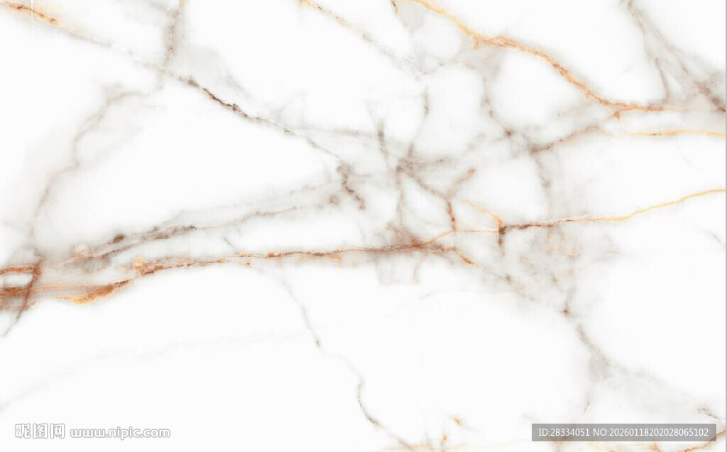 白色鱼肚金大理石石纹