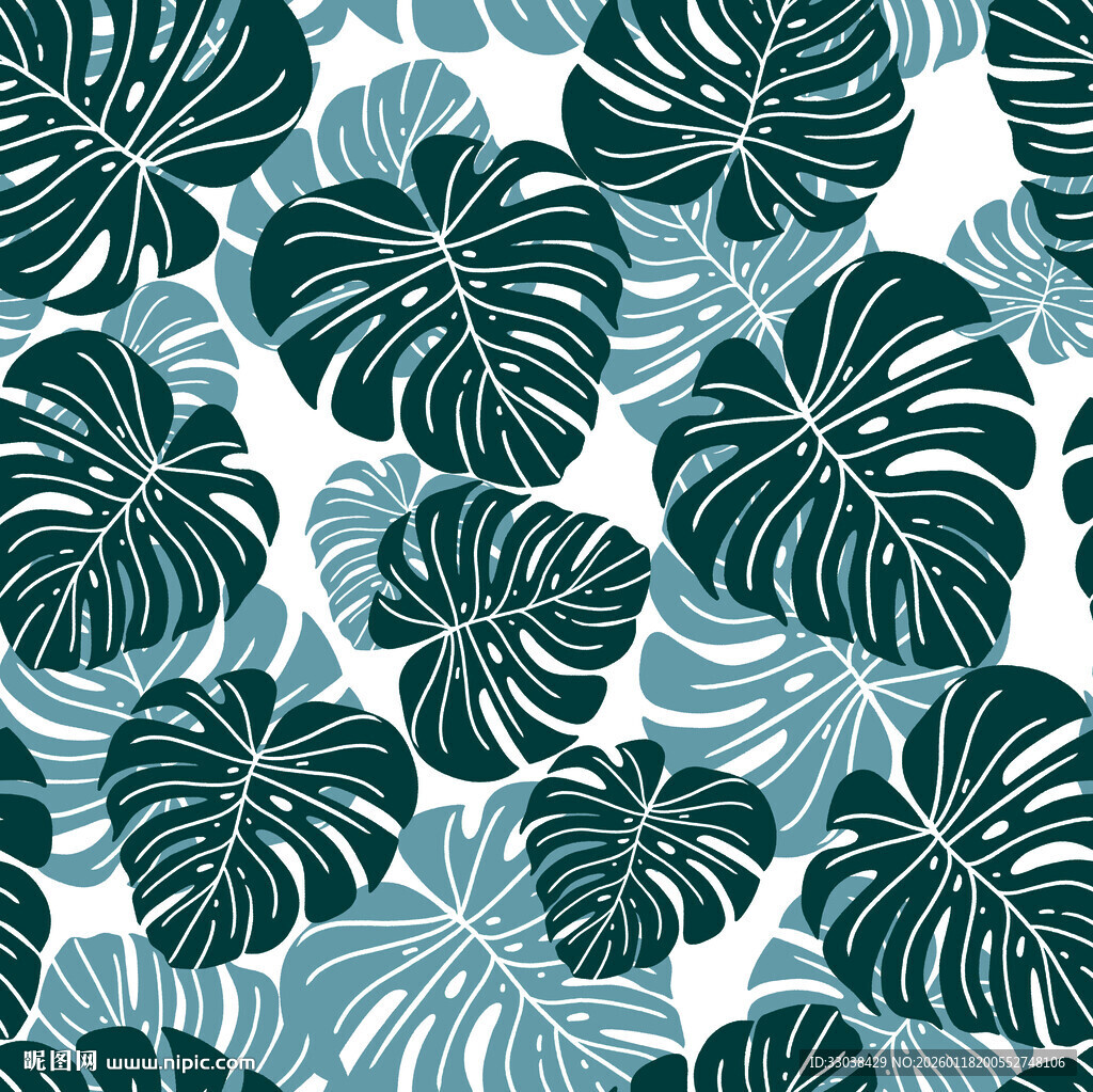 热带龟背竹叶图案背景