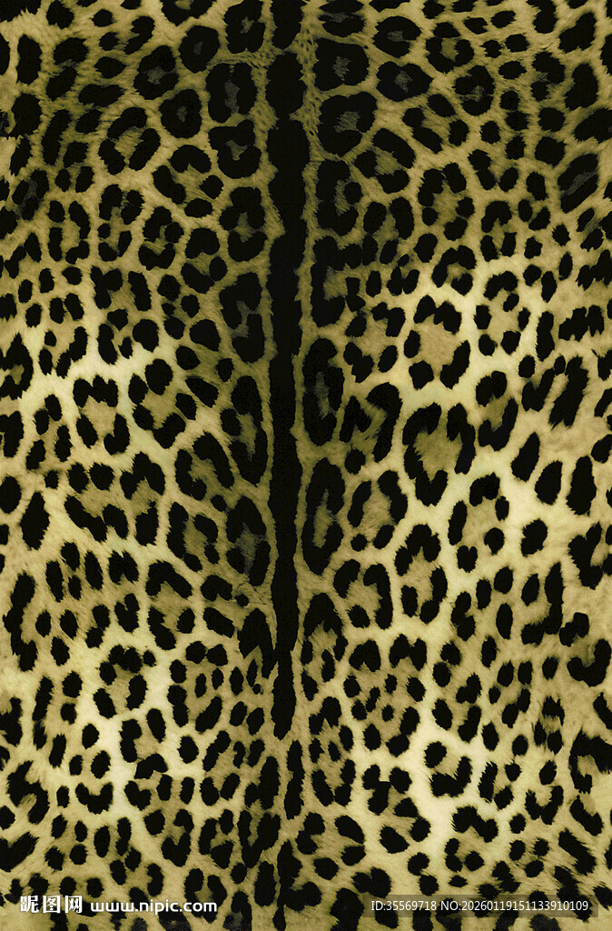 豹纹图案纹理背景图