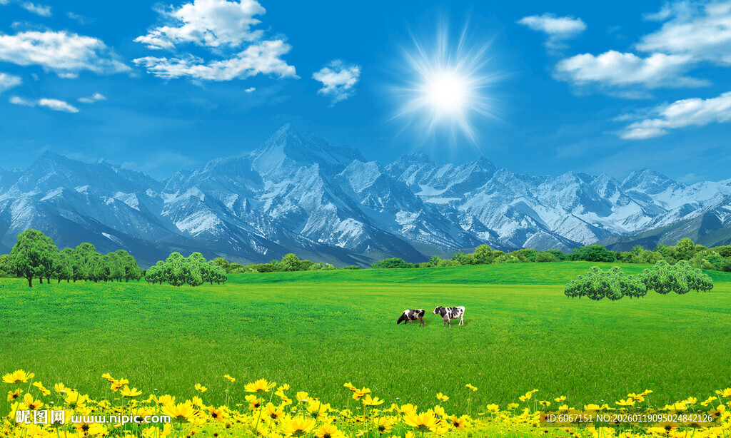 蓝天白云大草原