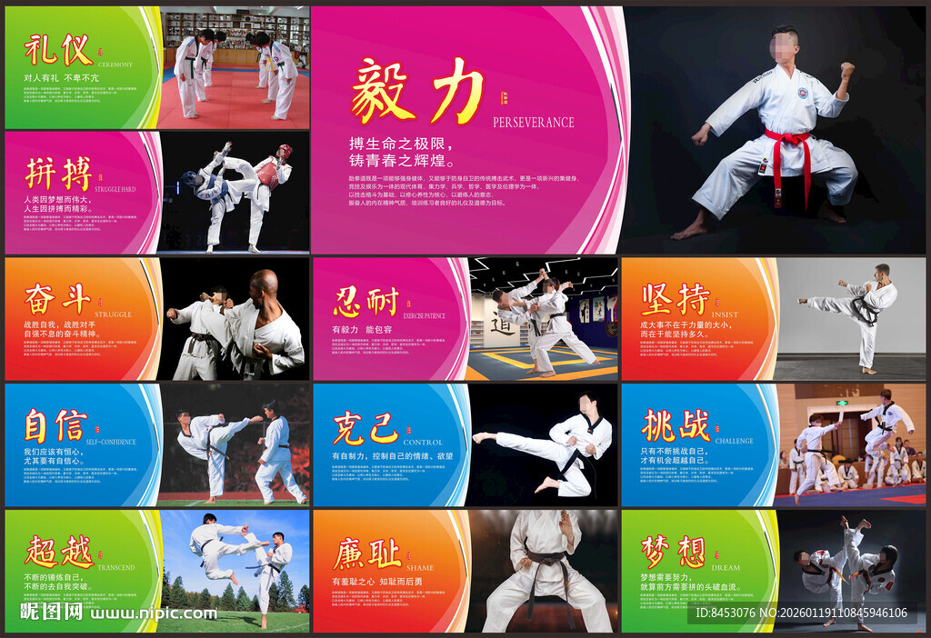 跆拳道展板