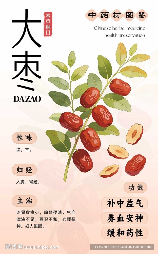 新鲜大枣展示与营养介绍