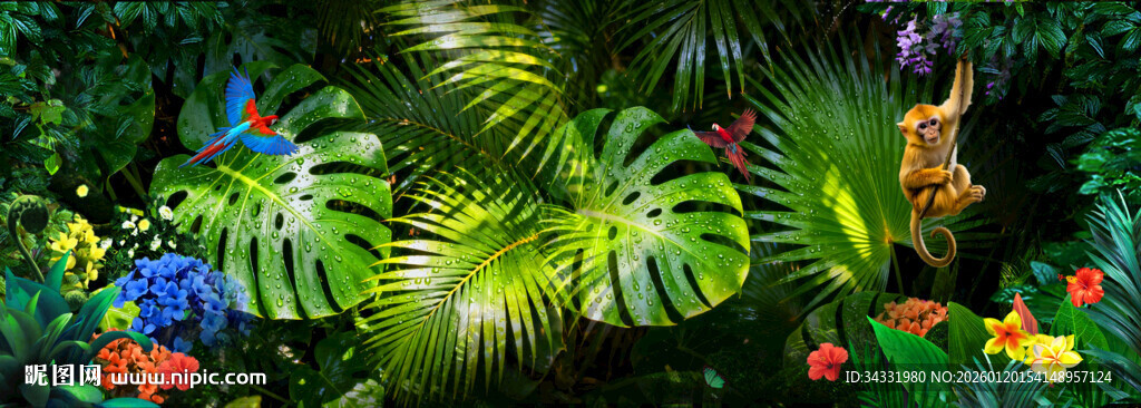 热带植物背景
