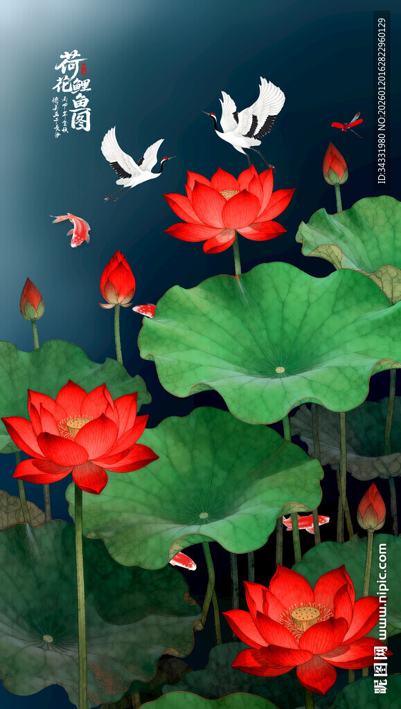 荷花鲤鱼图