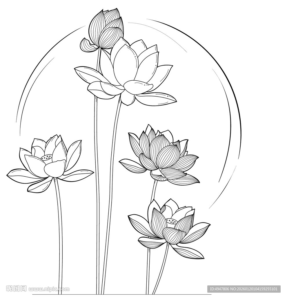 水墨风莲花线稿 荷花 矢量图