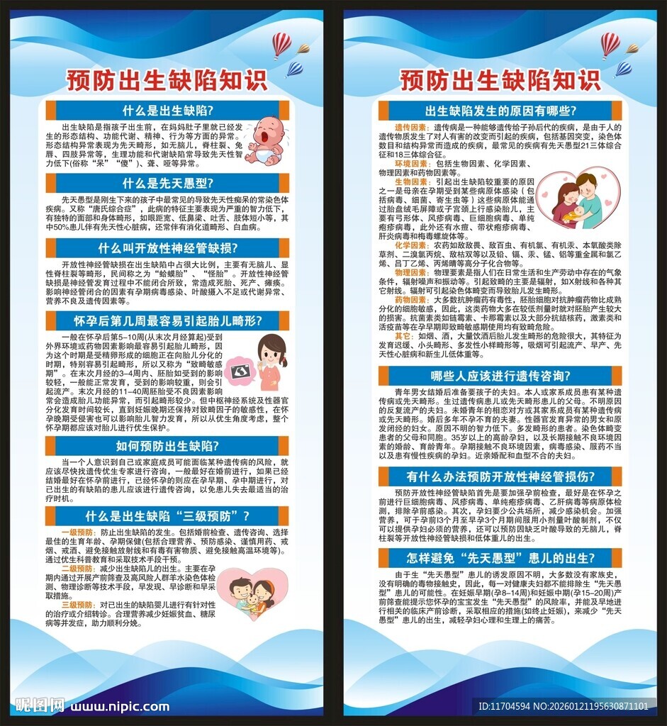 预防出生缺陷日展架