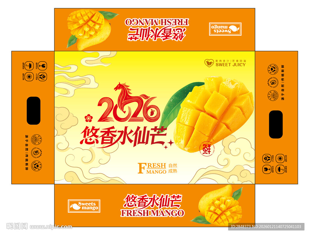 水仙芒平面展开图