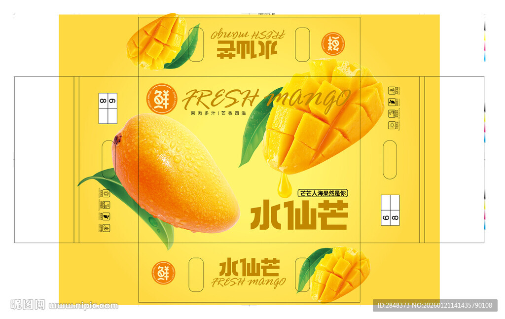 水仙芒平面展开图橙色