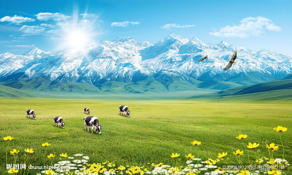 雪山下的大草原