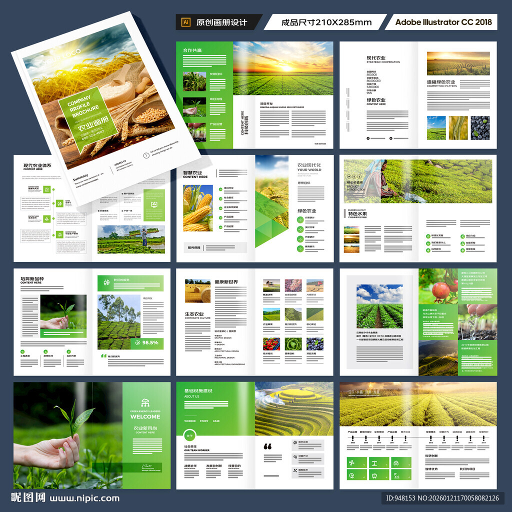 农产品画册