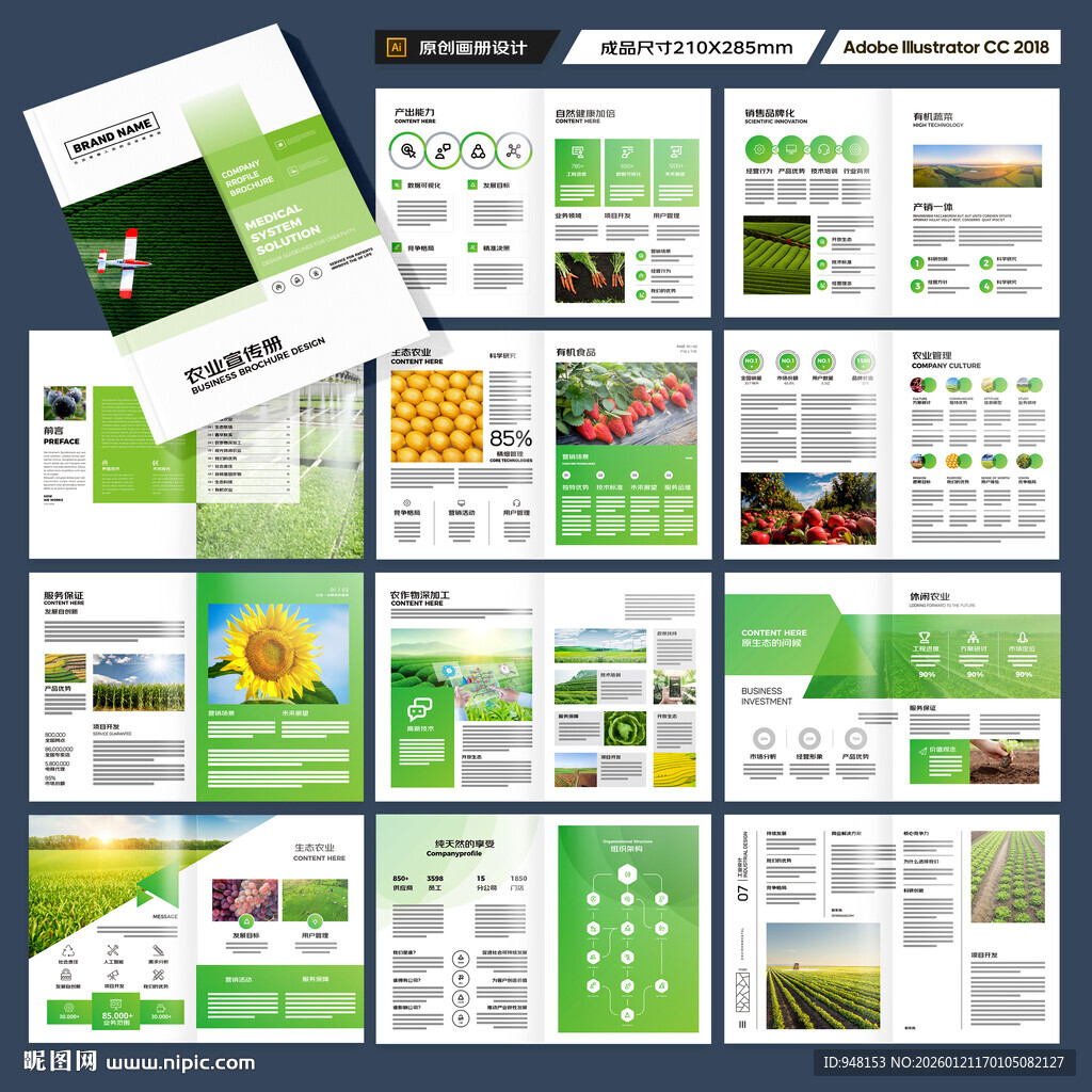 农业科技画册