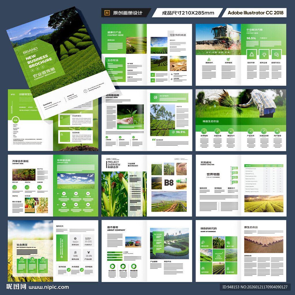 农业合作社画册