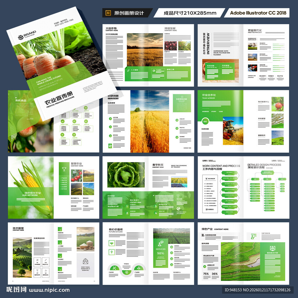 农产品宣传册