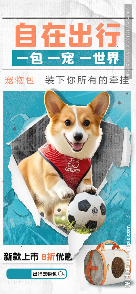 萌宠柯基的自在出行时刻