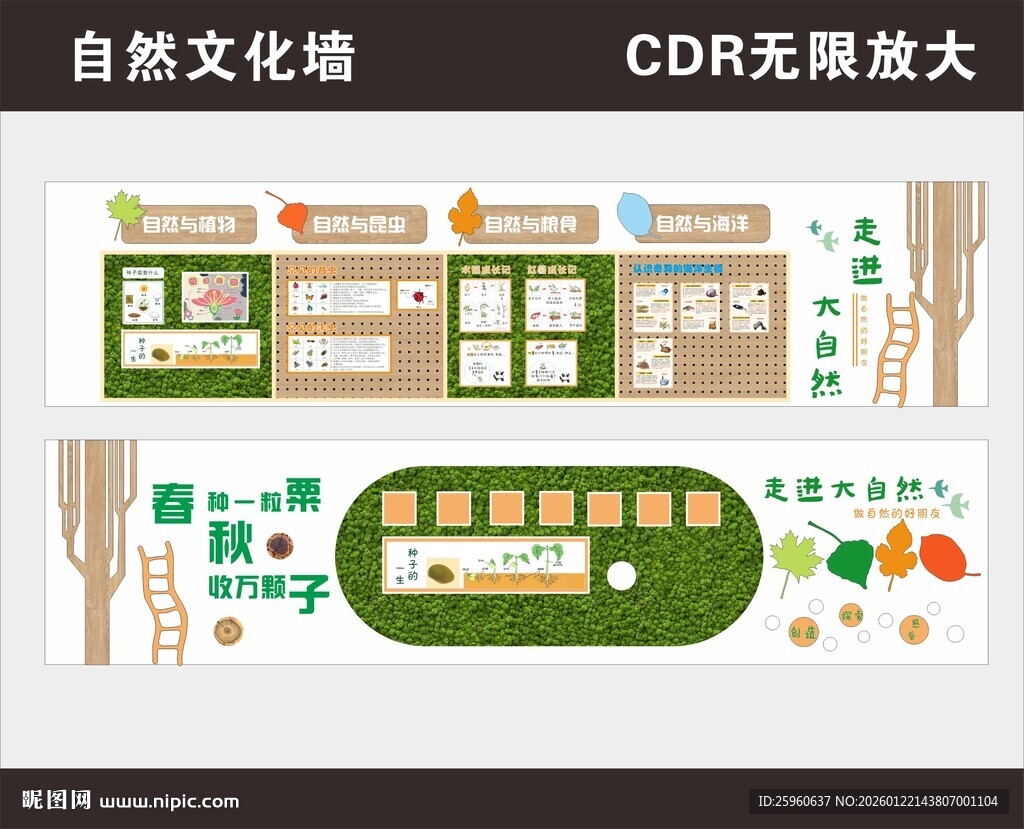 校园自然文化墙