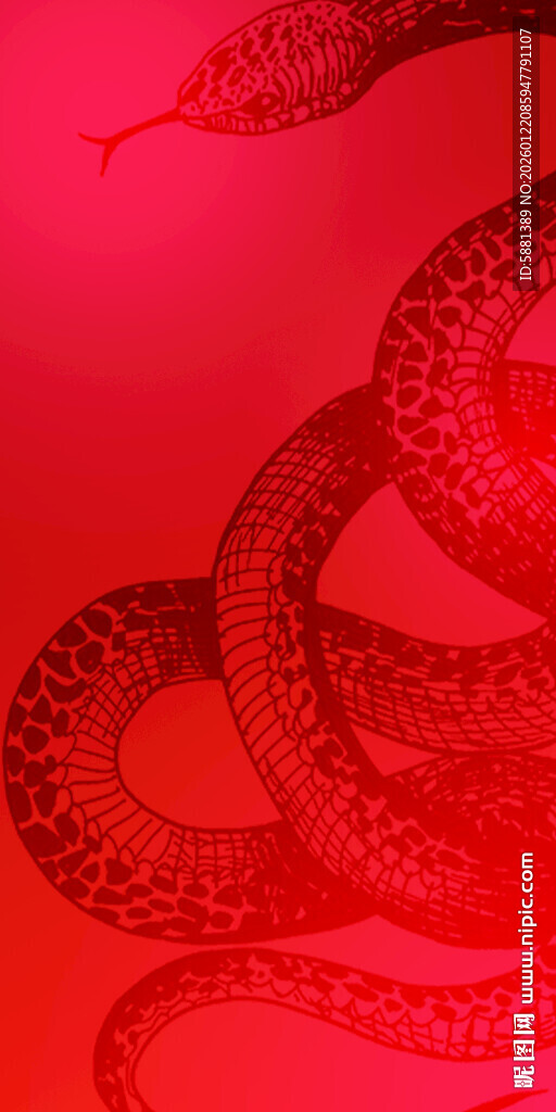 红色盘绕蛇形图案