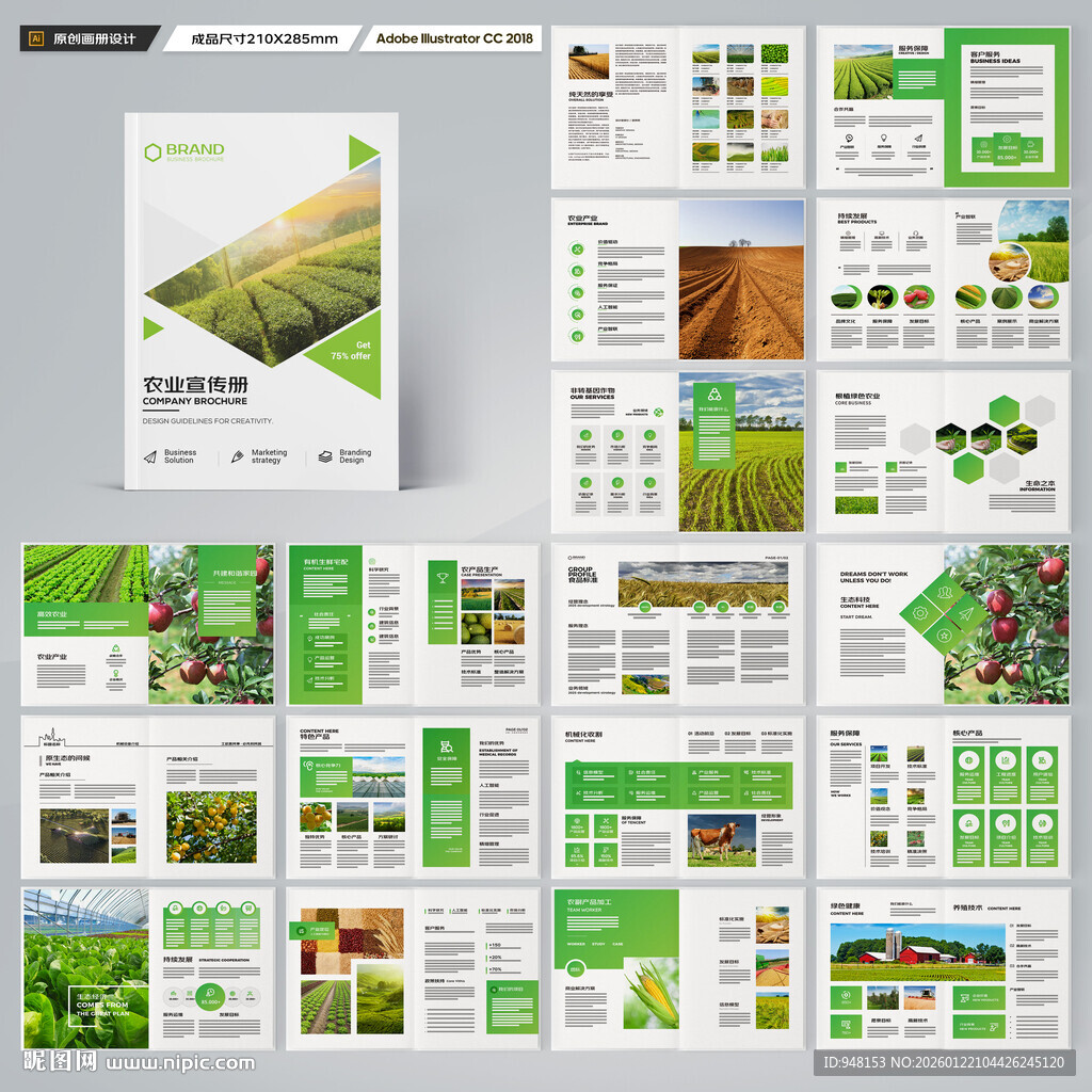 农产品宣传册