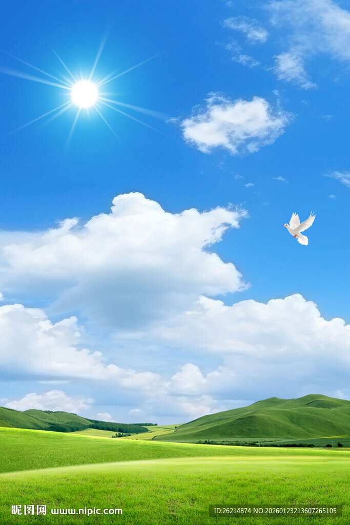 蓝天白云下的绿色原野