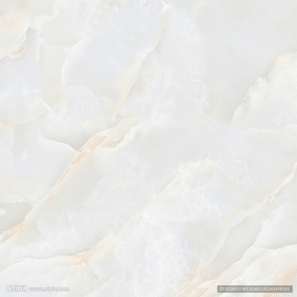 地板 现代轻奢石纹 高档大图 