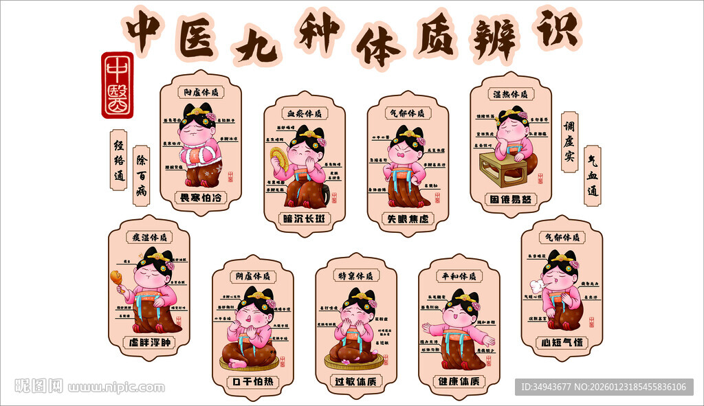 中医九种体质知识展示