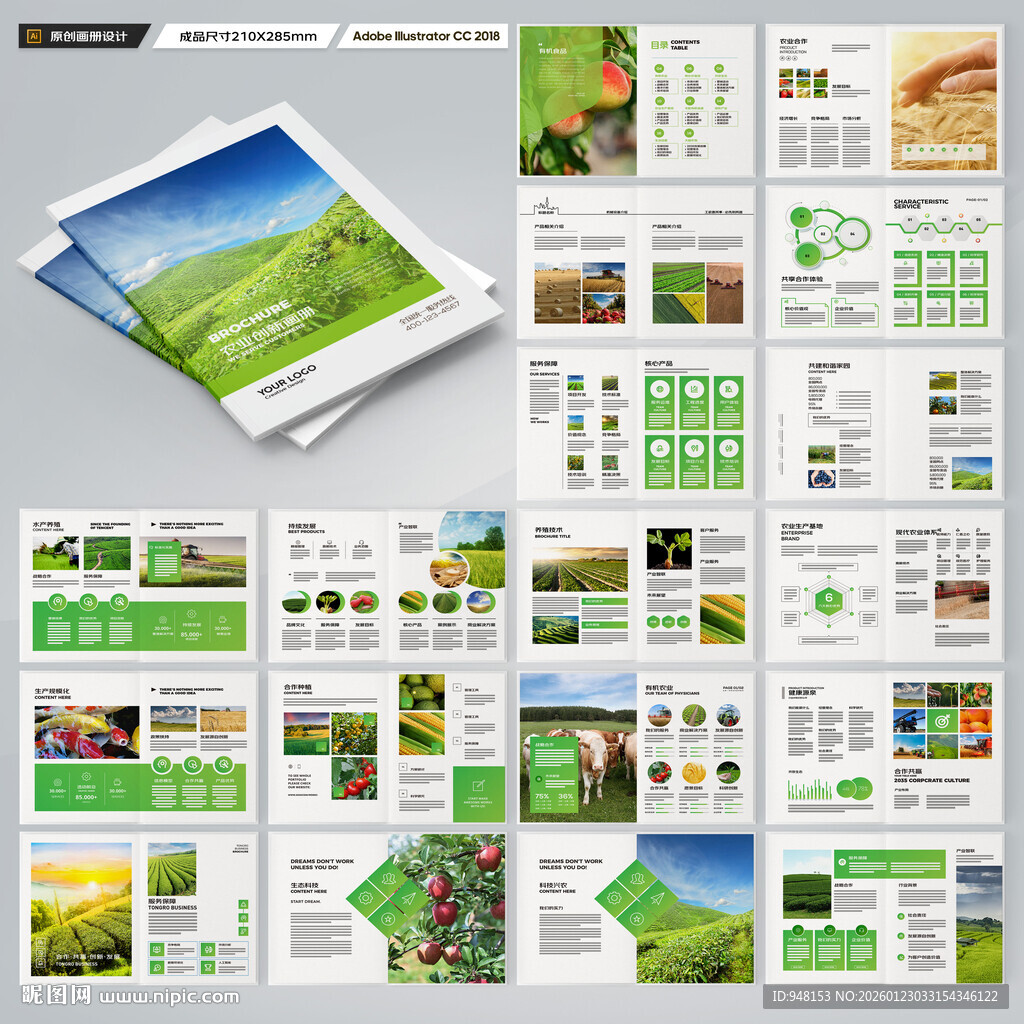 农业合作社画册